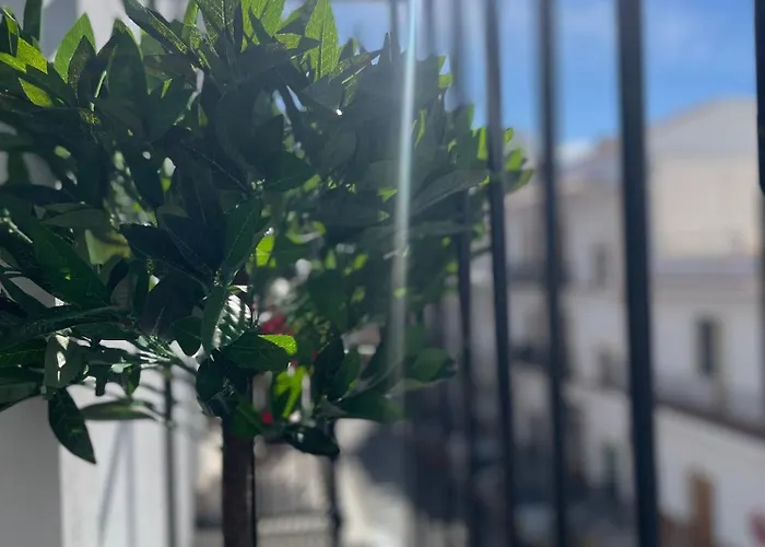 Centrico Pradosol 2 * Nerja