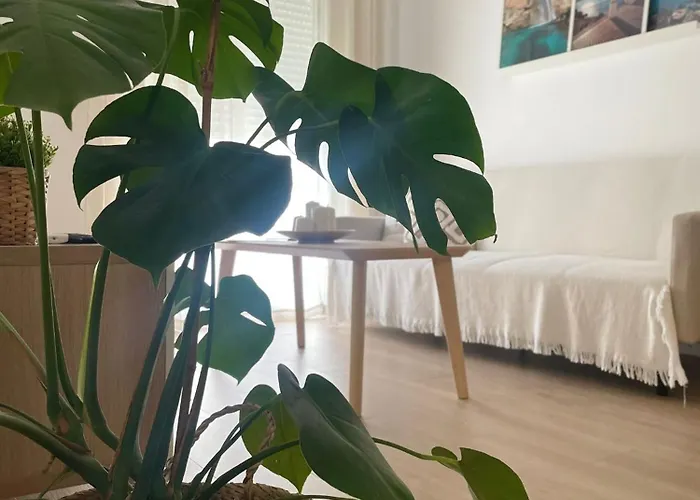 Centrico Pradosol 2 * Nerja